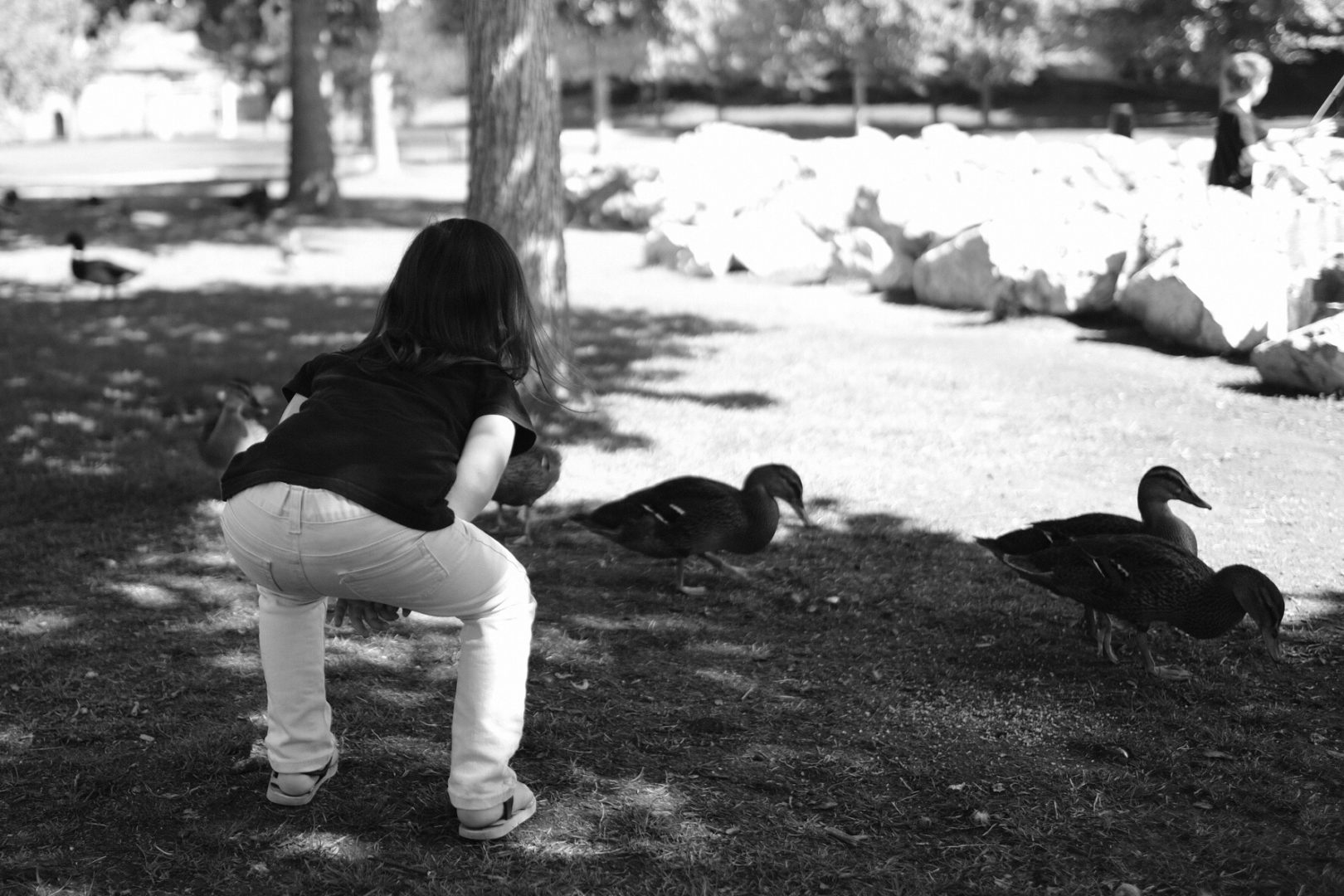 A little girl crouches to get a closer look at a duck.